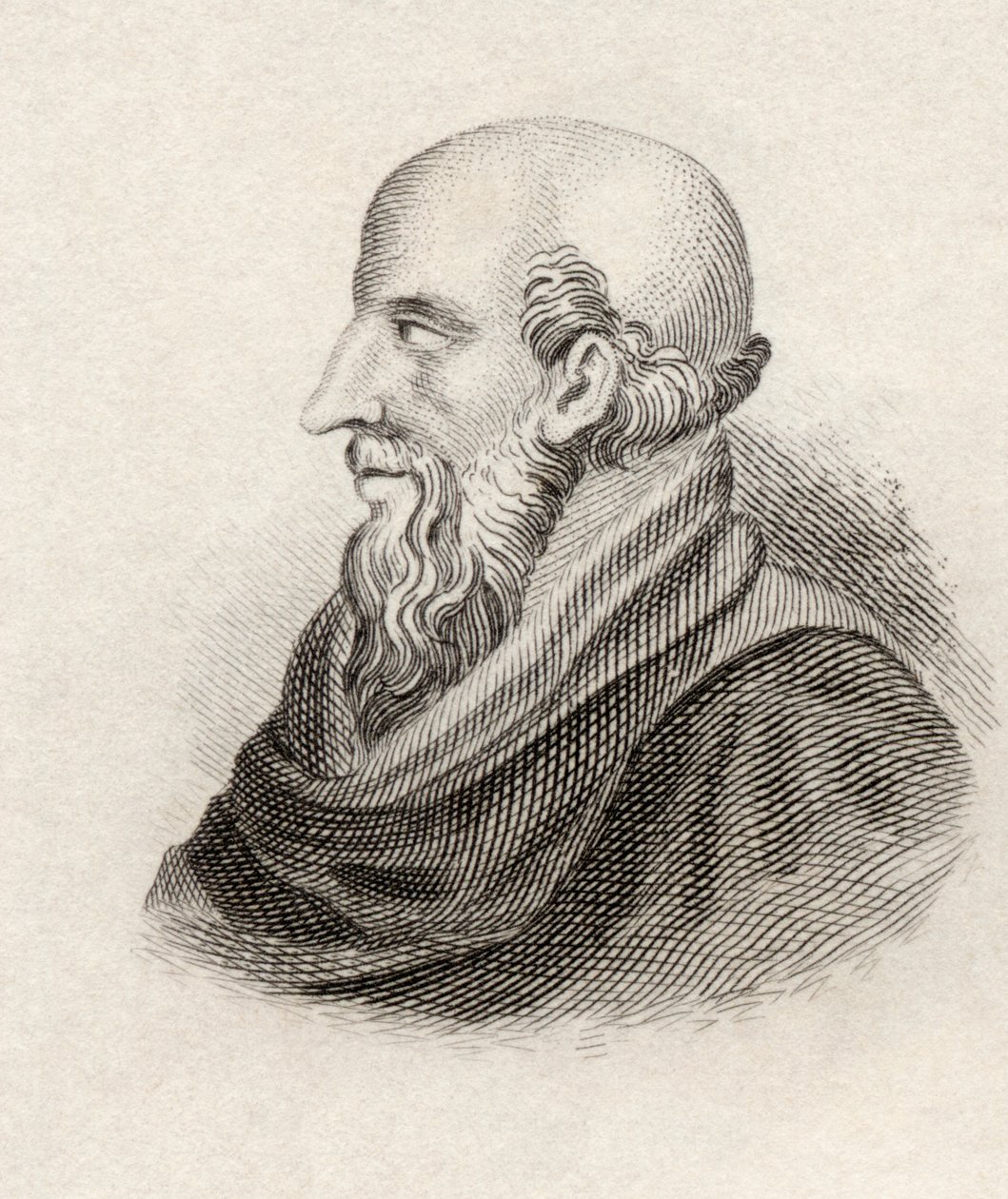 Crisippo di Soli, da 