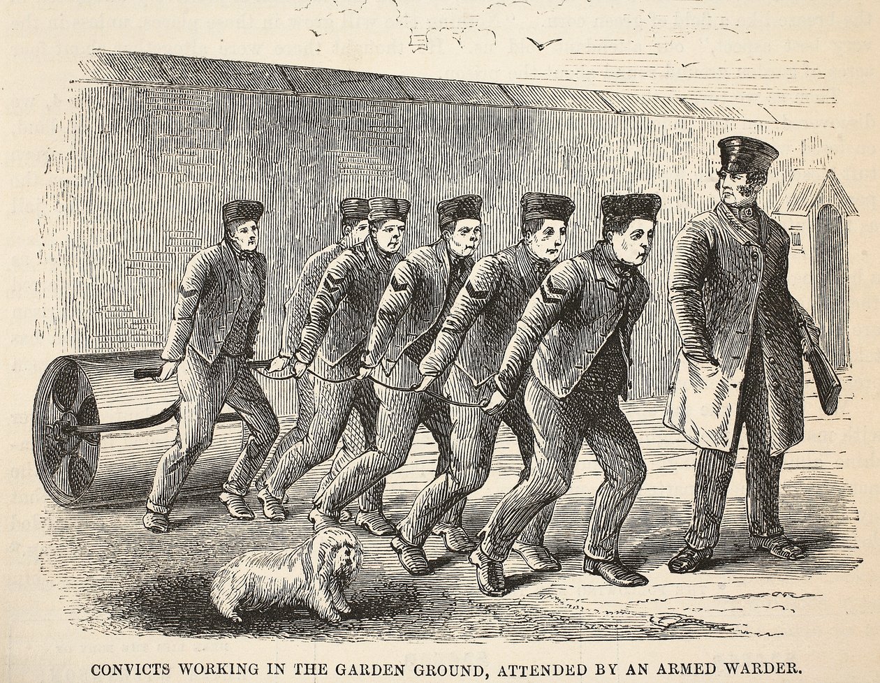 Detenuti che lavorano nel giardino, sorvegliati da una guardia armata, illustrazione da Le Prigioni Criminali di Londra e Scene dalla Vita Carceraria di Henry Mayhew e John Binny, pub. 1862 da English School