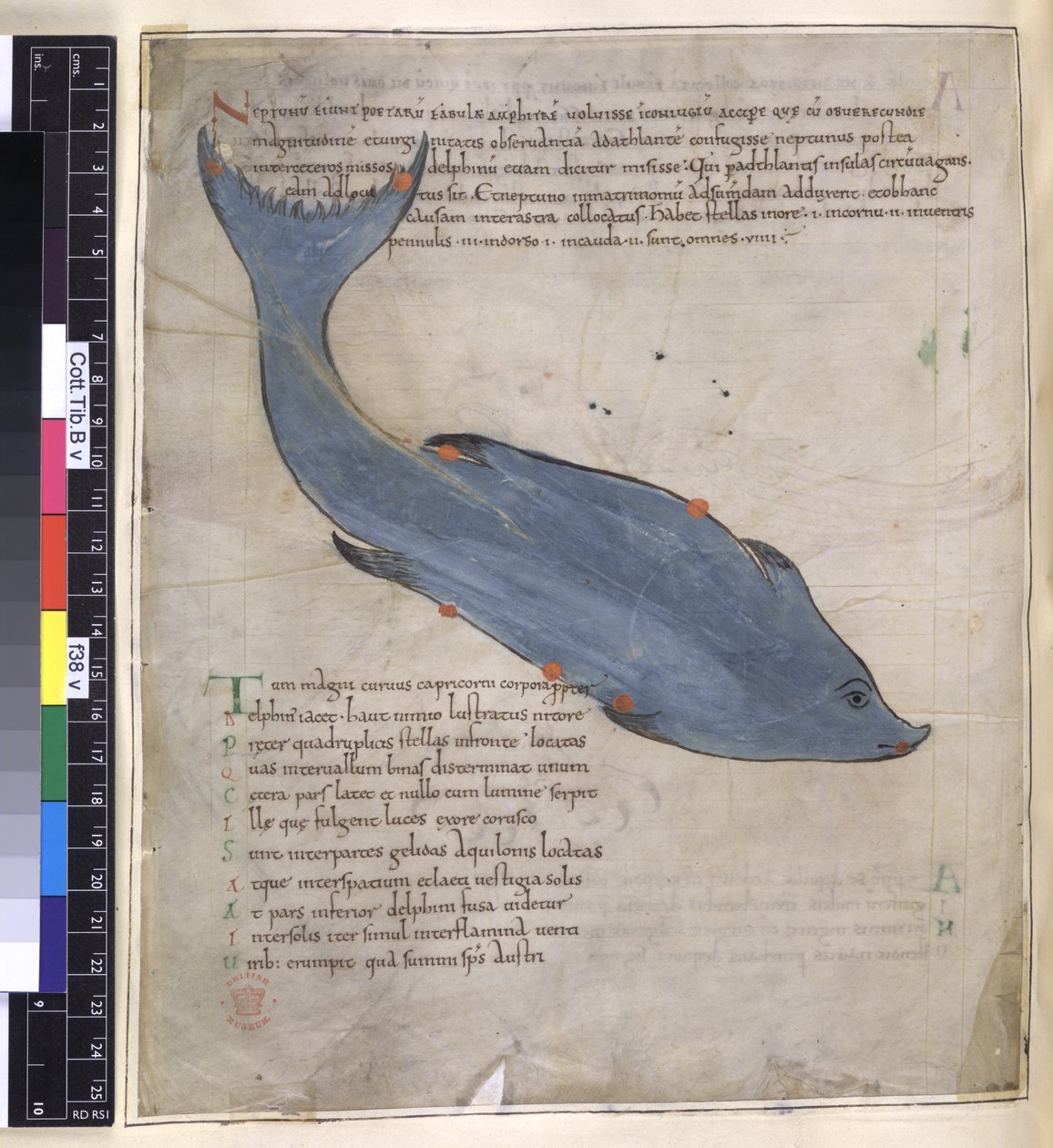 La costellazione del Delfino da 