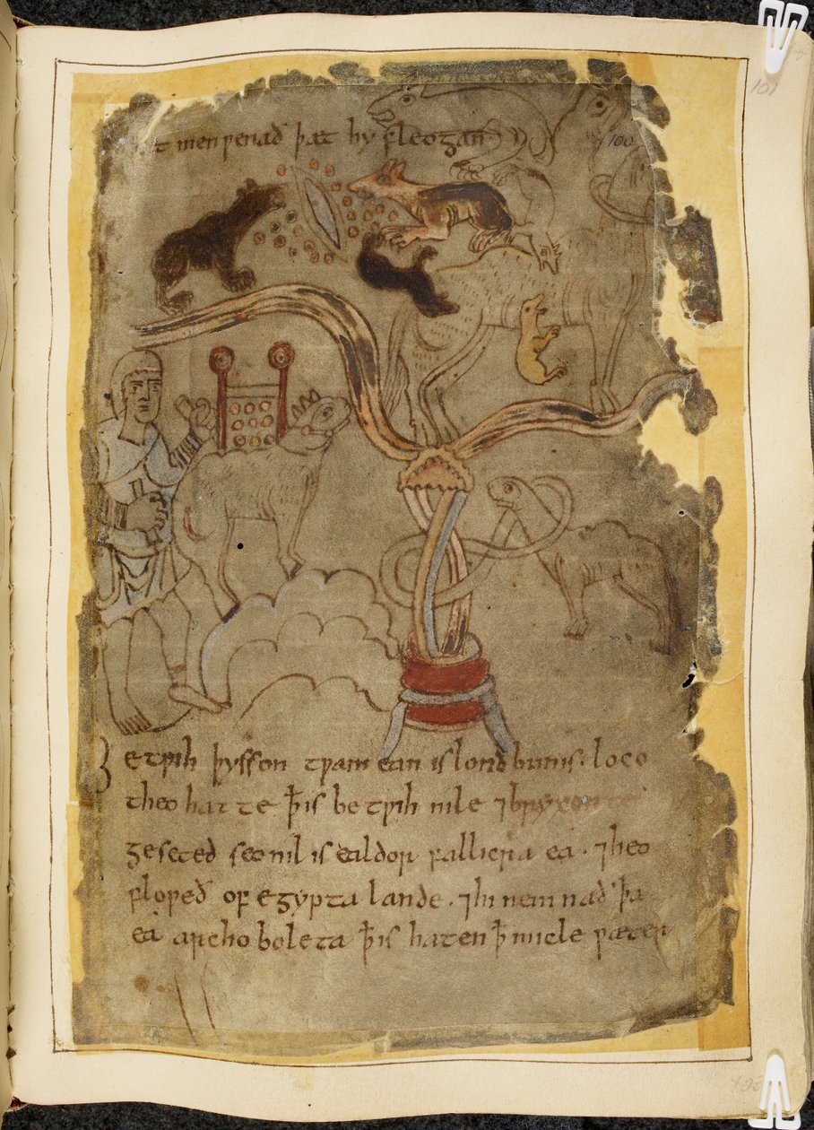 Cotton Vitellius A. XV, f.101r, Tre formiche simili a cani che attaccano un cammello legato, uomo in tunica, illustrazione da Beowulf, dal 