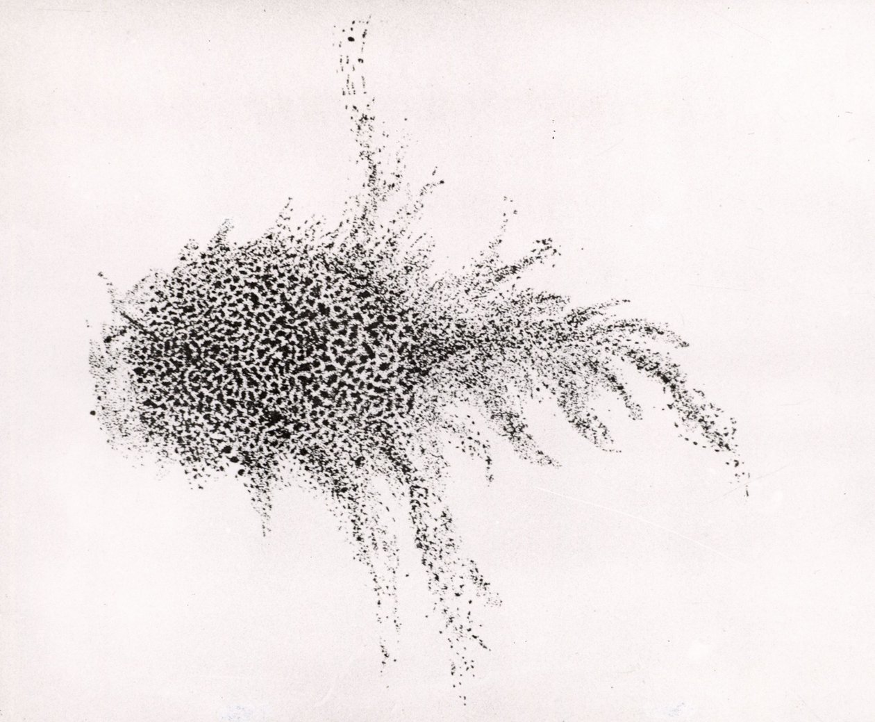 Nebulosa del Granchio" di William Parsons, da "Observations on some of the Nebulae" delle "Philosophical Transactions of the Royal Society". da English School