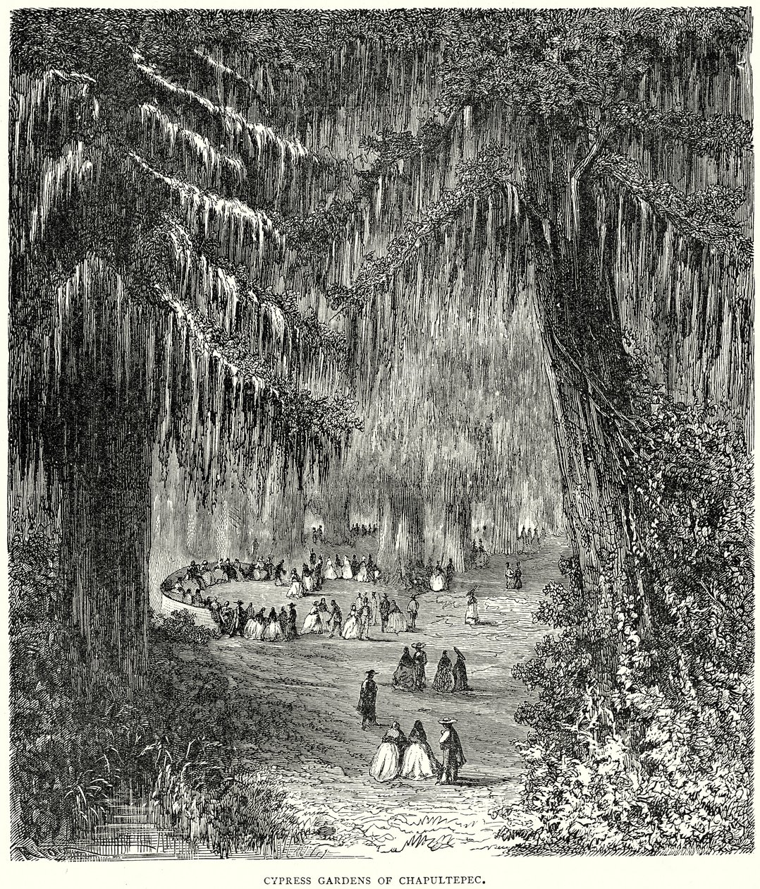 Giardini di cipressi di Chapultepec (incisione) da English School