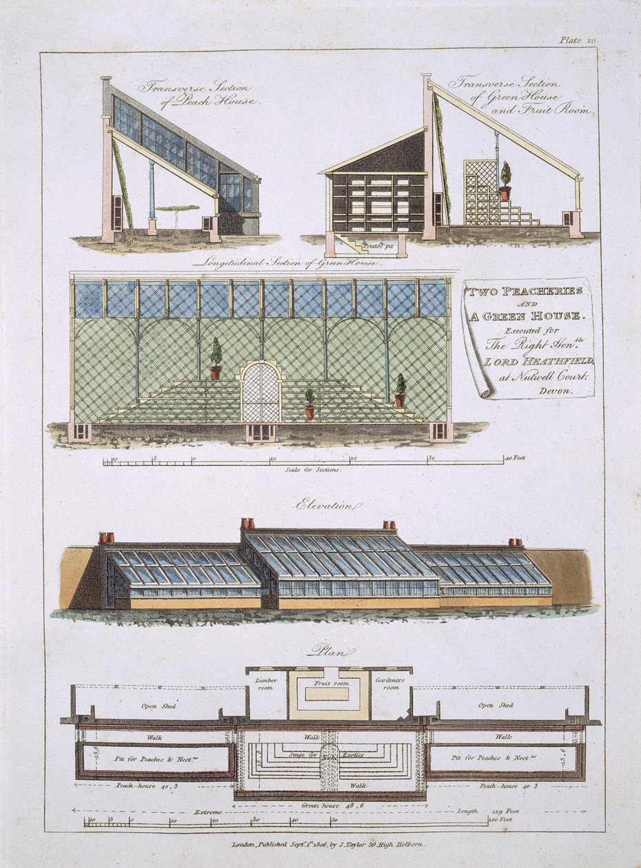 Progetto per due pescherie e una serra, 1806 da English School