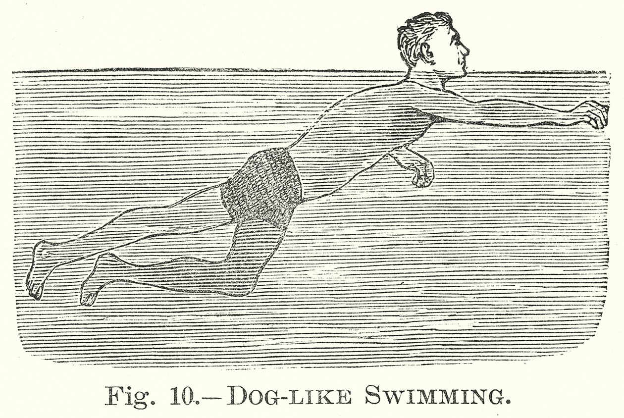 Nuotare come un cane (incisione) da English School