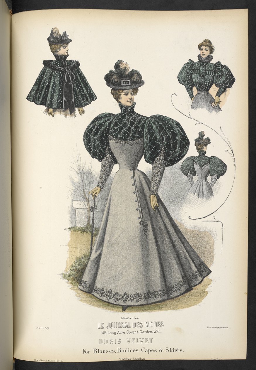 Velluto Doris, per camicette, corpetti, mantelle e gonne, The Dressmaker and Milliner, 1895 da English School