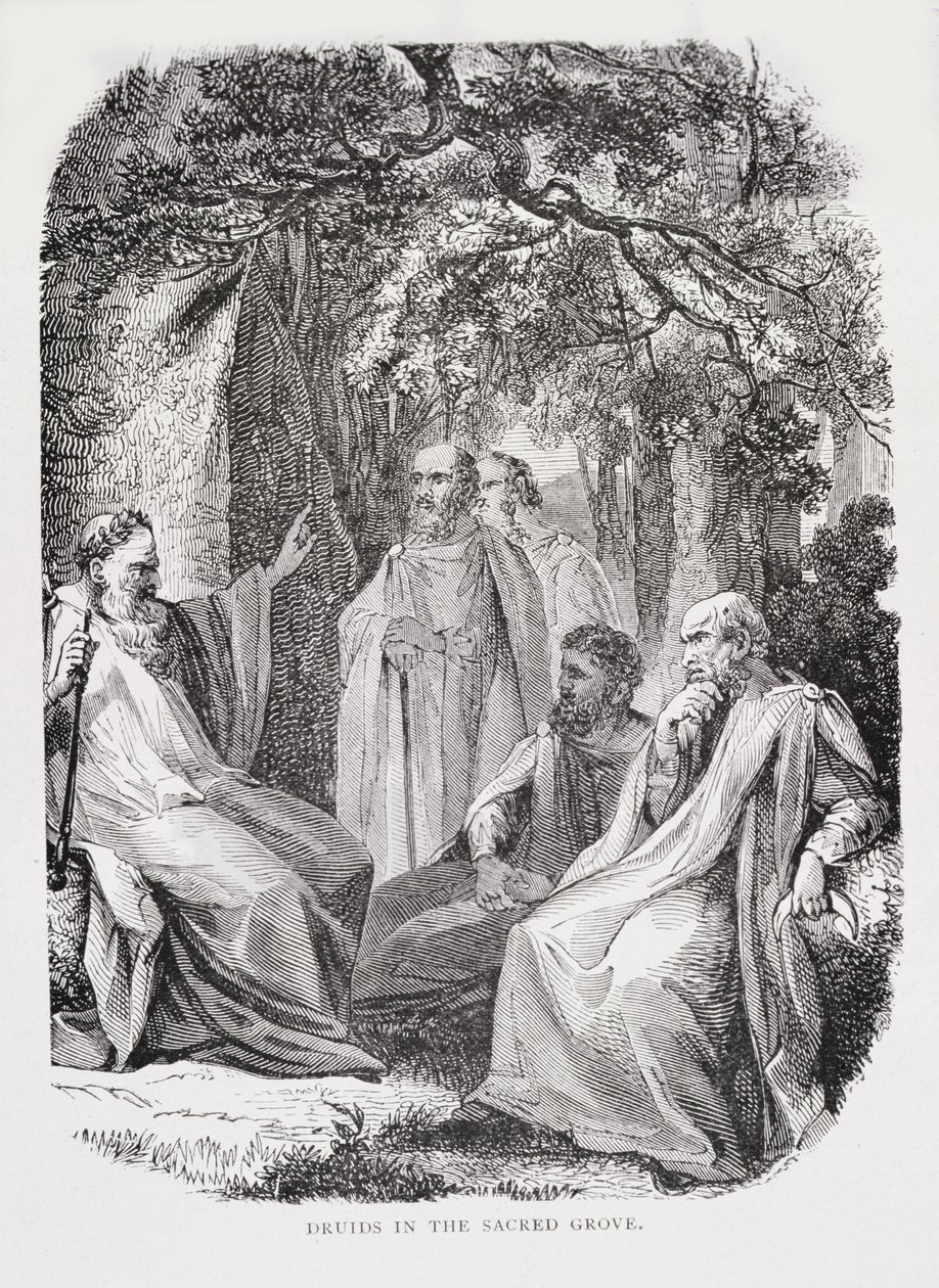 Druidi nel bosco sacro, da La storia della Francia, di Emile de Bonnechose, pubblicato da Ward, Lock and Co, Londra da English School