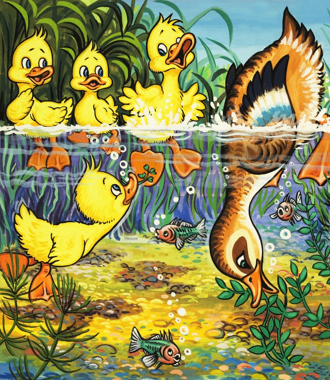 Anatra e anatroccoli (gouache su carta) da English School