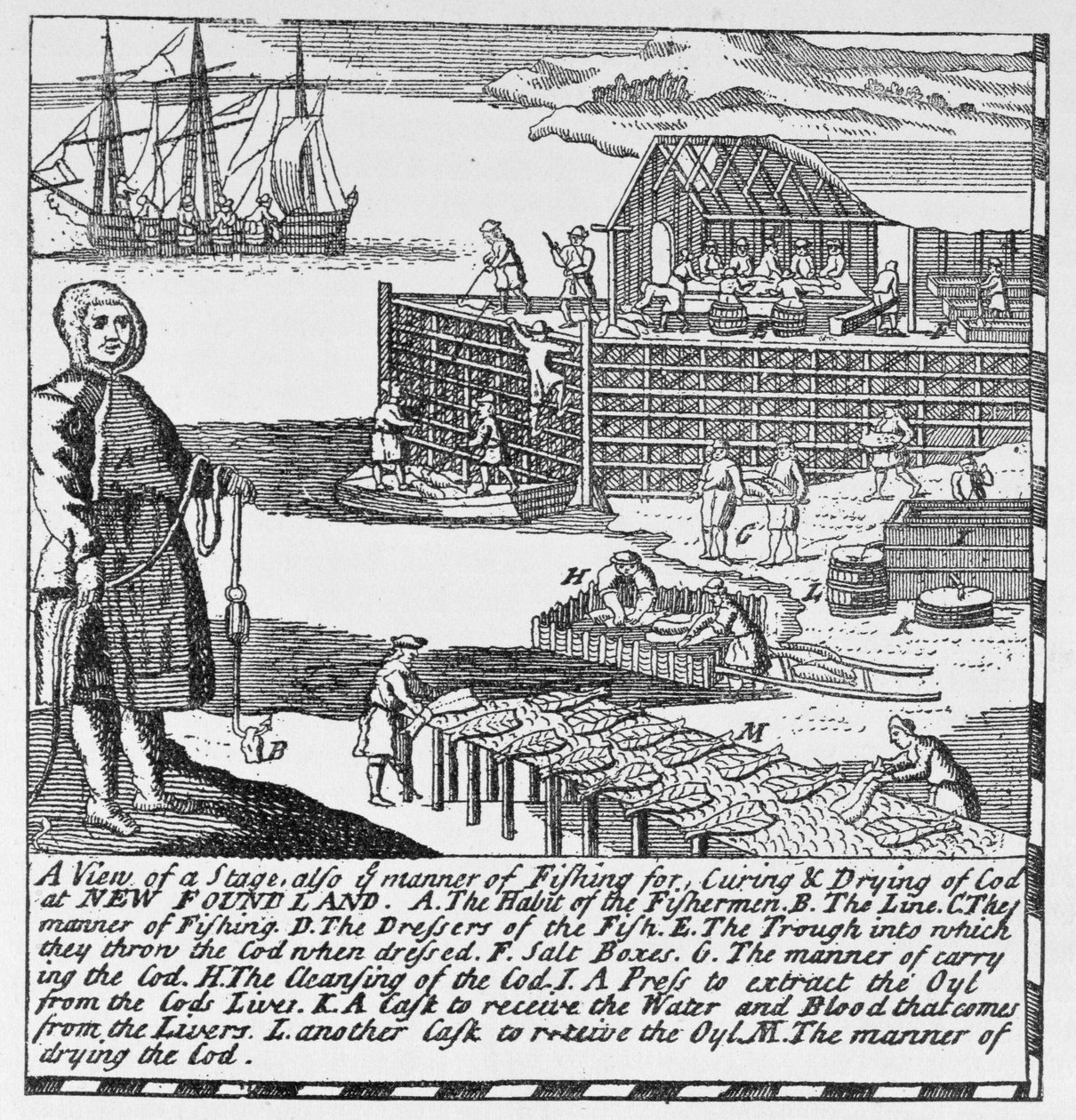 Prime fasi della pesca, illustrazione dal Volume IV di 
