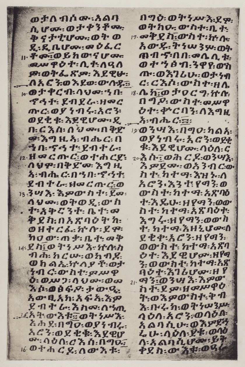 Etiopico (litografia) da English School