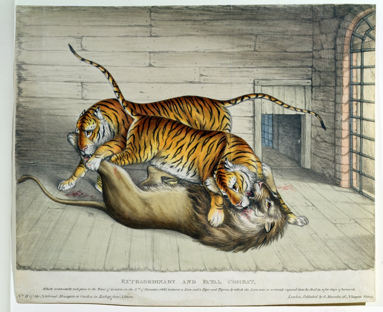 Combattimento Straordinario e Fatale, 1830 da English School