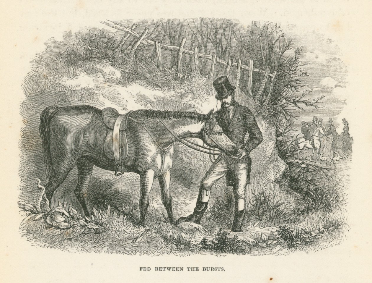 Fed tra gli scoppi (incisione) da English School