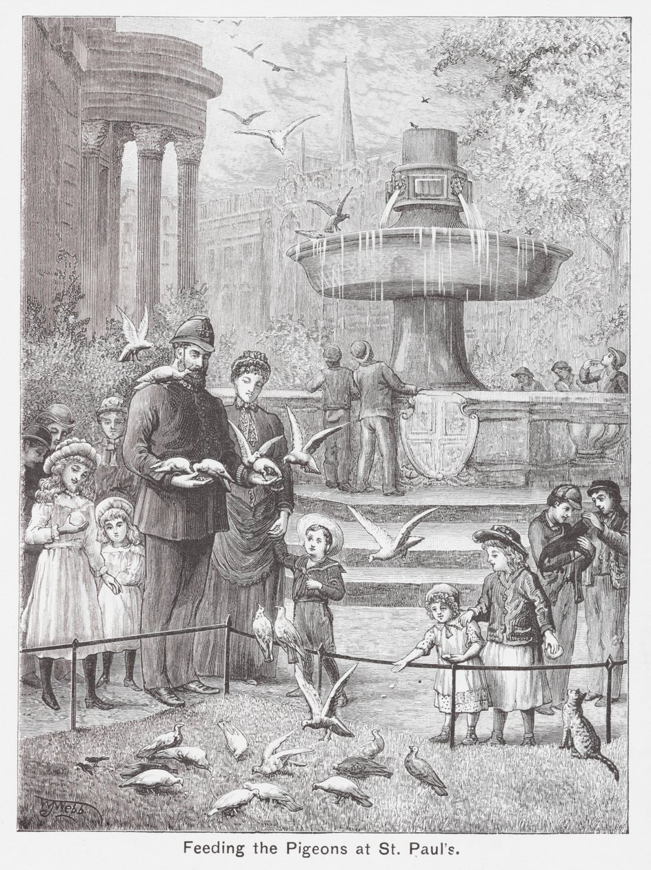 Nutrire i piccioni a San Paolo (incisione) da English School