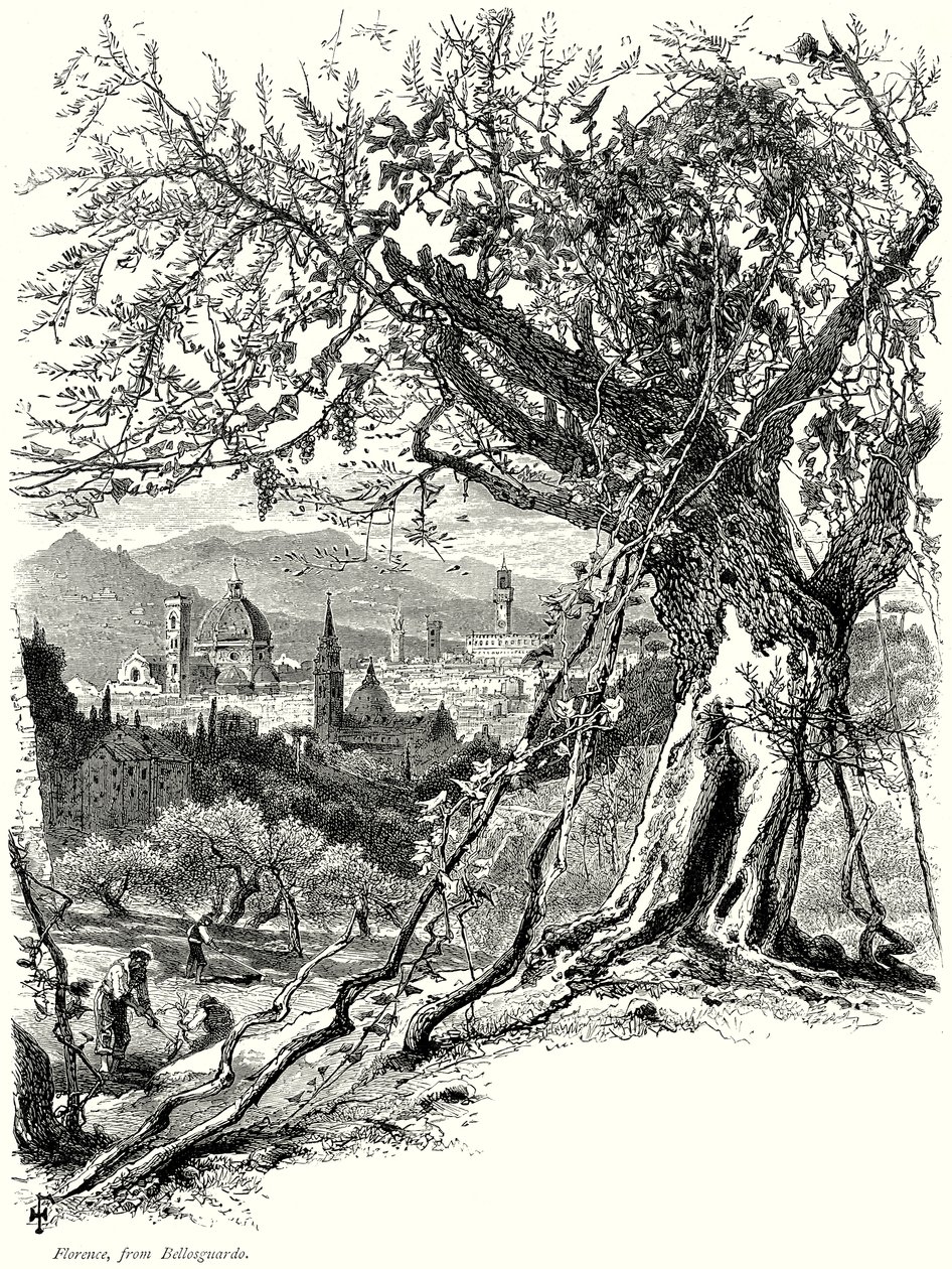 Firenze, da Bellosguardo (incisione) da English School
