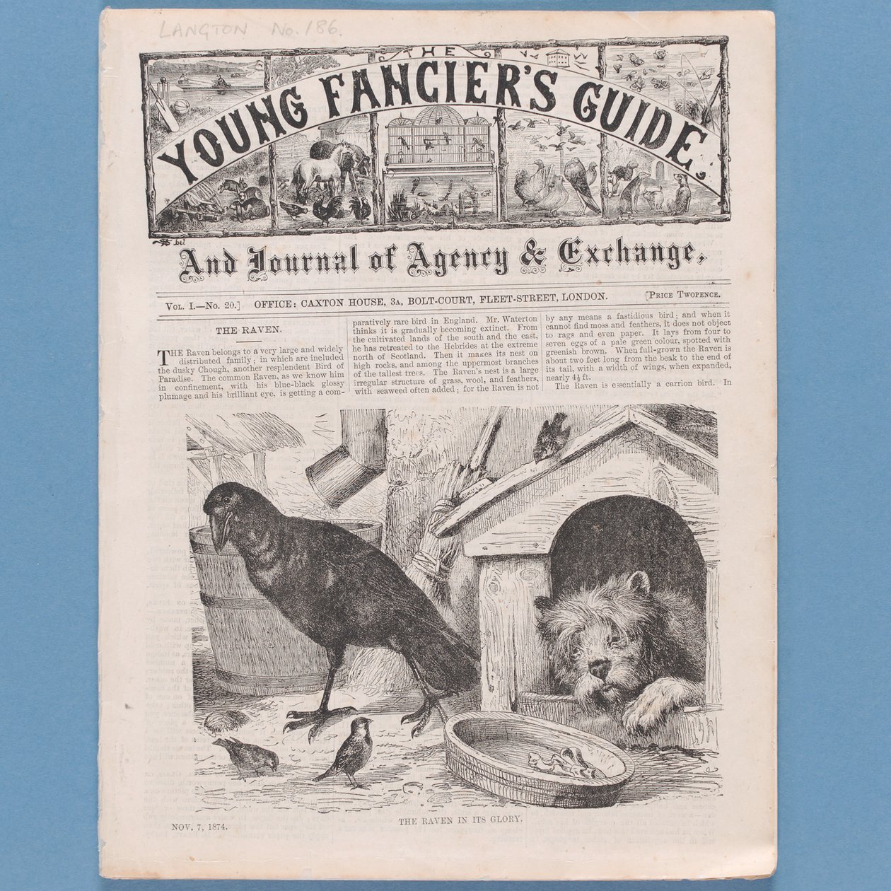 Frontespizio da The Young Fanciers Guide, 1874 da English School