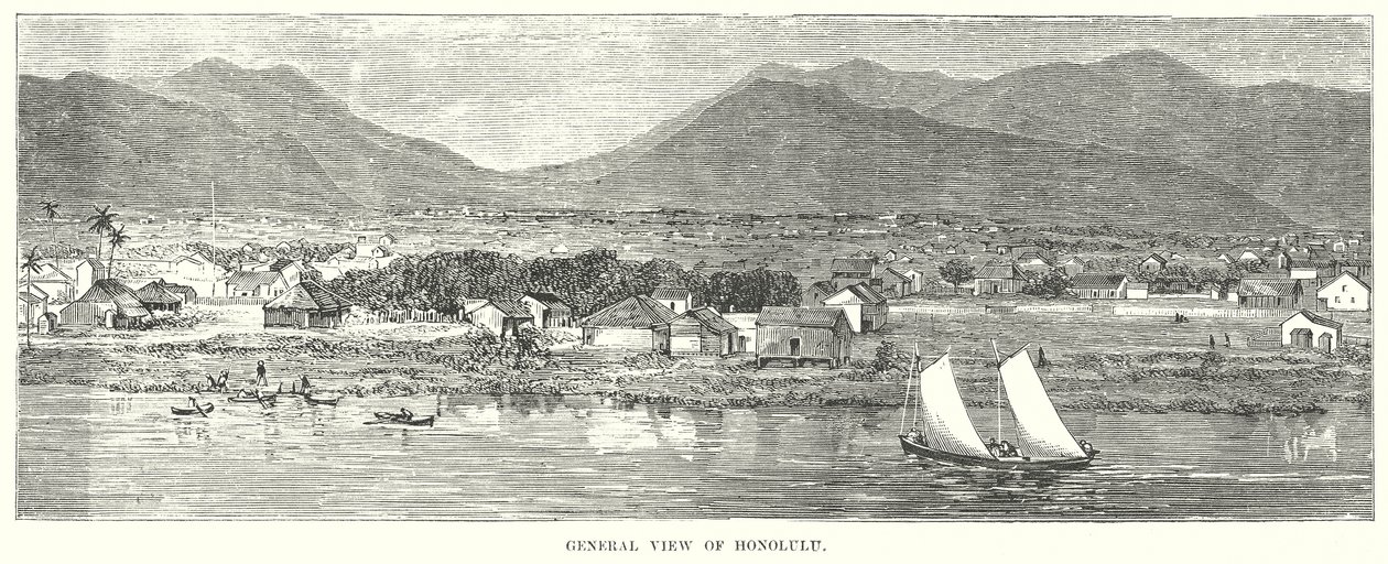 Veduta generale di Honolulu (incisione) da English School