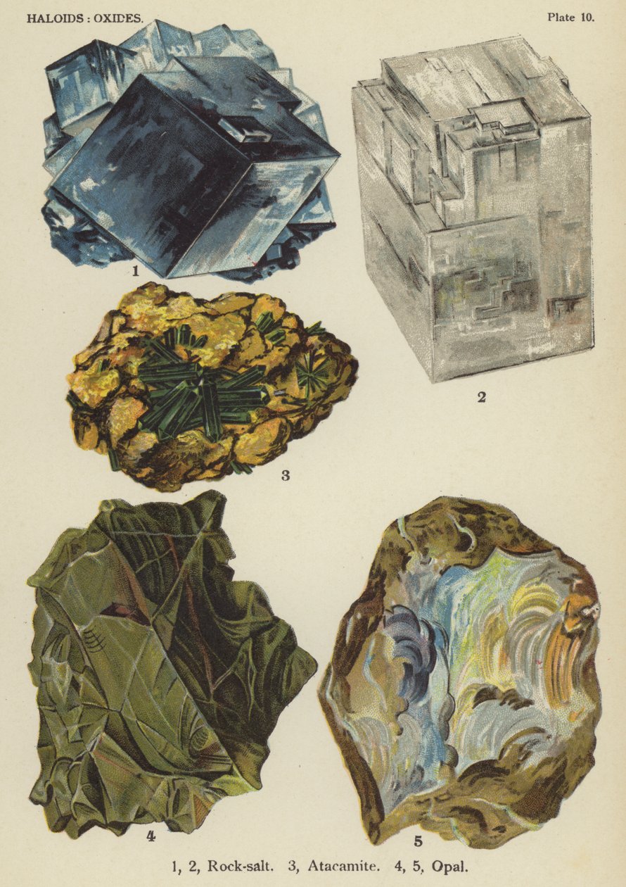 Aloidi, ossidi, salgemma, atacamite, opale (litografia a colori) da English School