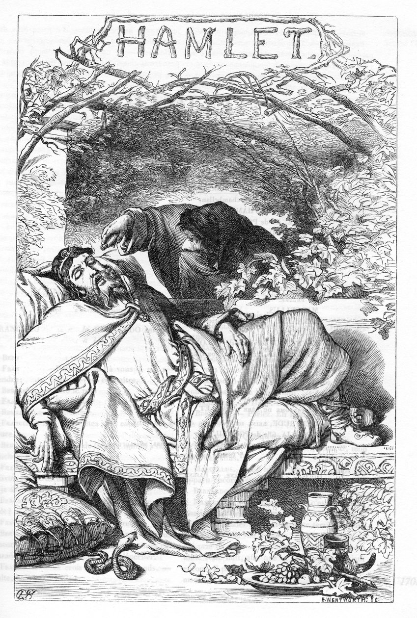 Amleto - Illustrazione in 