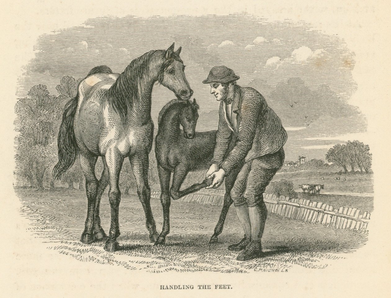 Manipolazione dei piedi (incisione) da English School