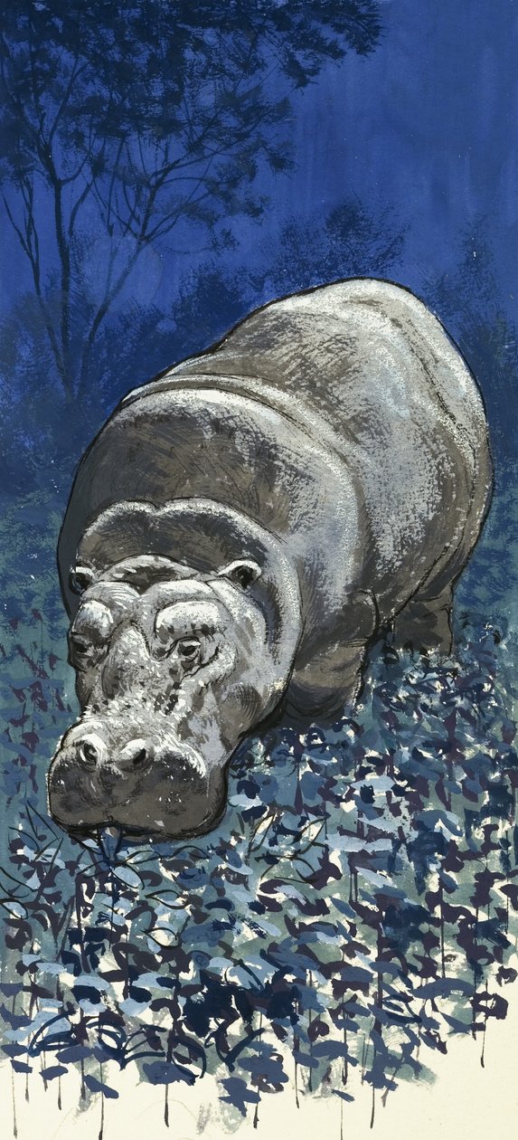 Ippopotamo da English School