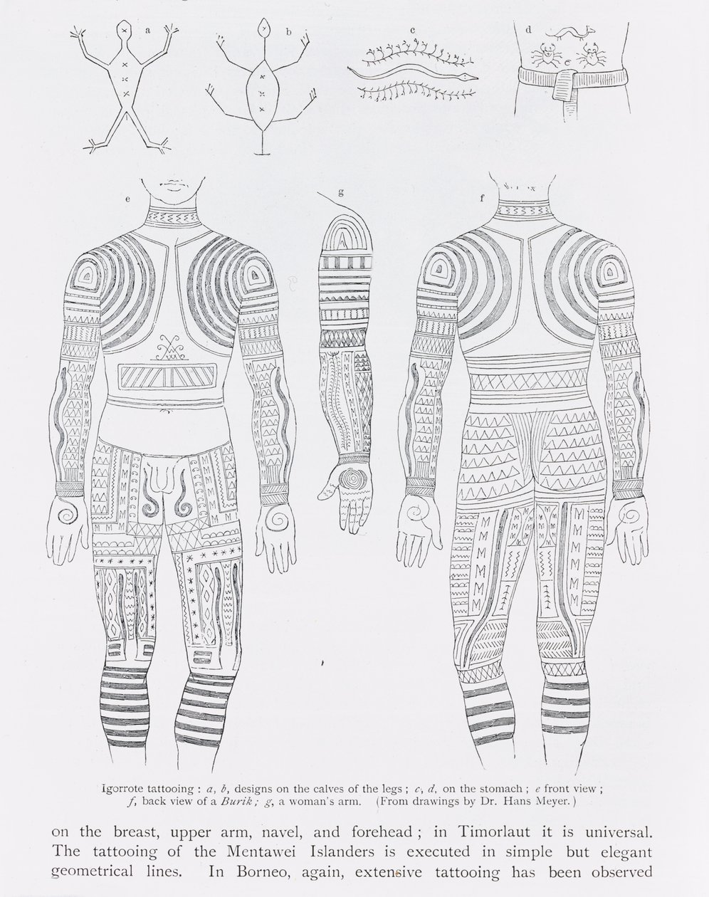 Tatuaggio Igorrote, da 