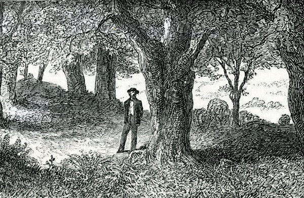 Illustrazione da 