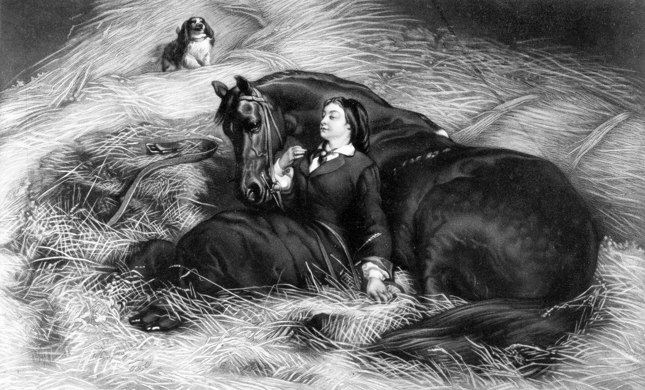 Illustrazione da Ragazza con cavallo, dopo Rosa Bonheur, XIX secolo da English School