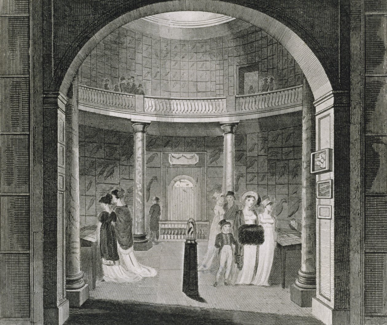 Veduta interna del Museo Leveriano, 1806 da English School