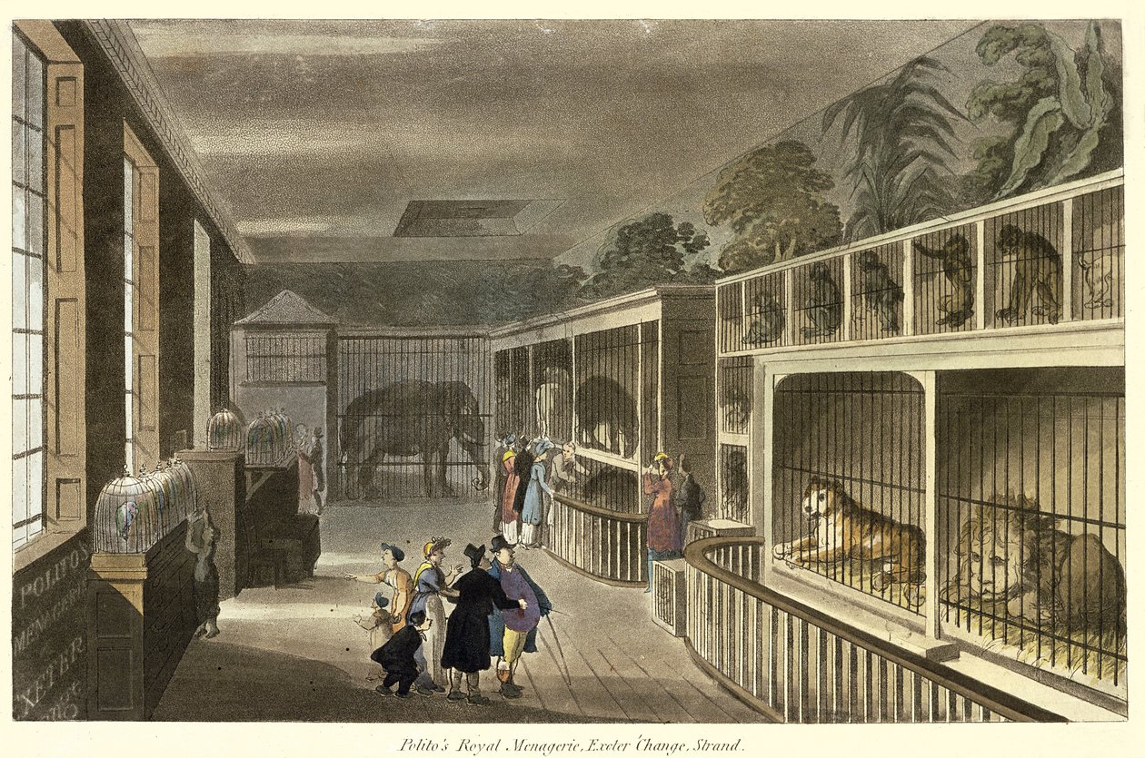 Veduta interna del Politos Royal Menagerie, Exeter Change, Strand, 1812 da English School