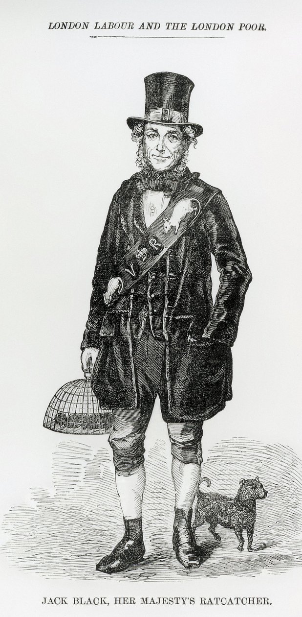 Jack Black, il cacciatore di ratti di Sua Maestà, c.1840 da English School