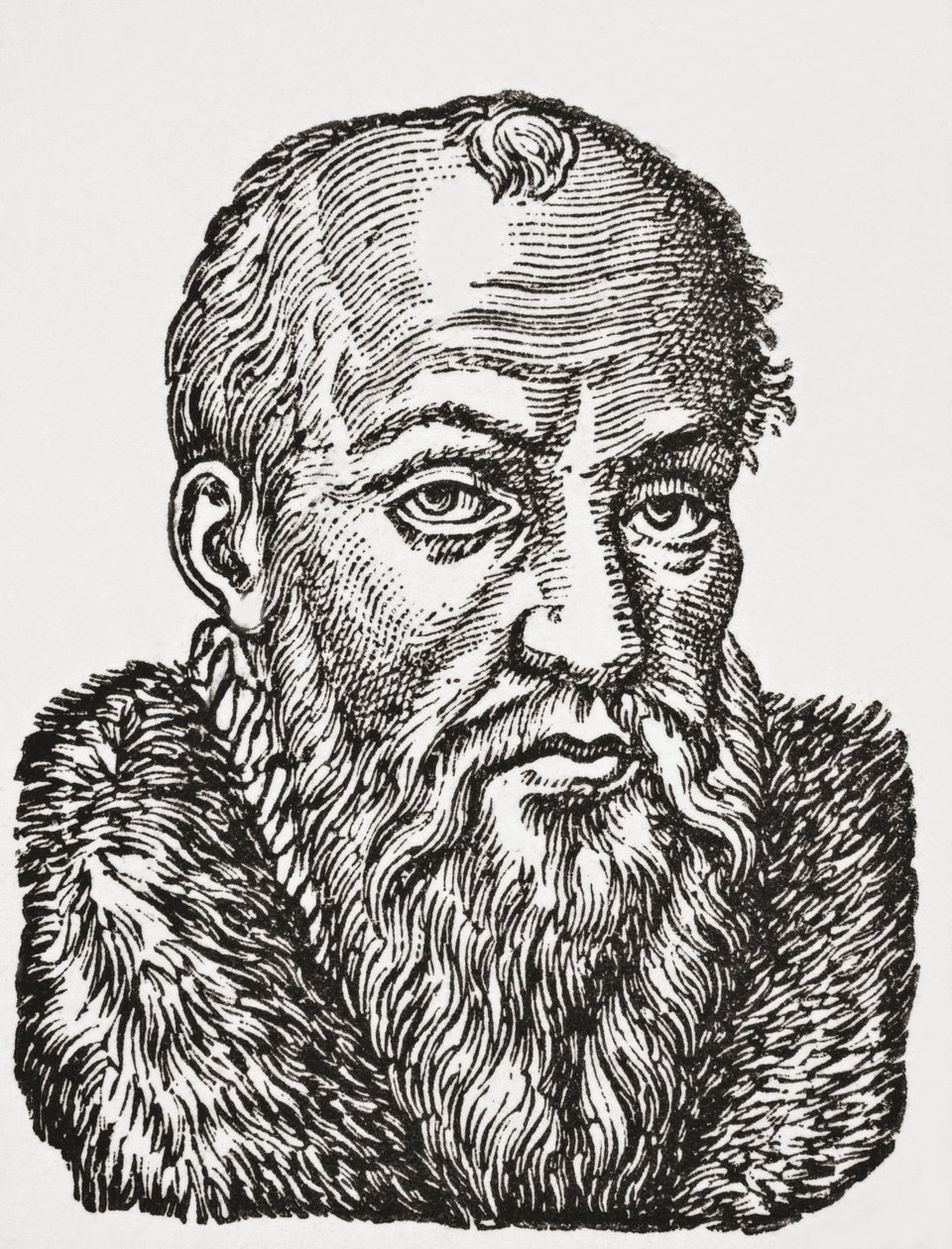 Jacques de Cujas, 1878 da English School