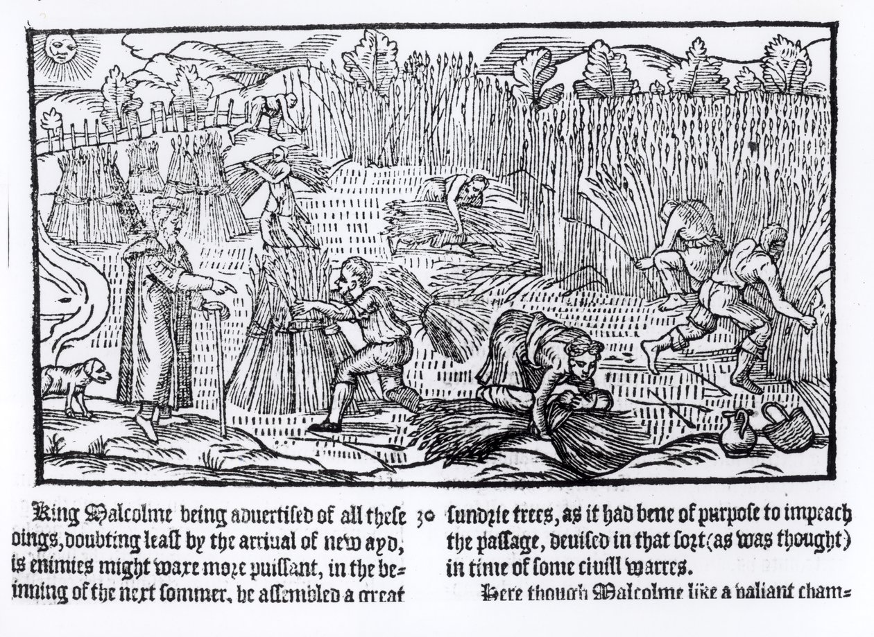 Re Malcolm di Scozia Osserva il Lavoro Agricolo, 1586 da English School