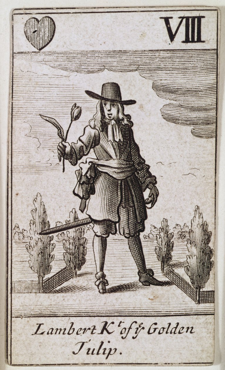 Lambert Simnel, Cavaliere del Tulipano d