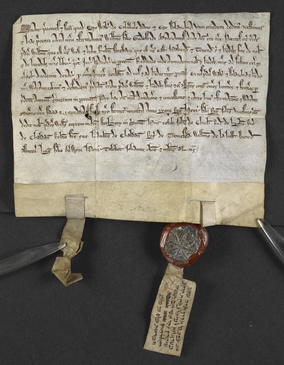 Atto latino con rinuncia ebraica (allegato al sigillo), con cui Jacob ben Aaron cede un terreno a William le Briel. Inghilterra da English School