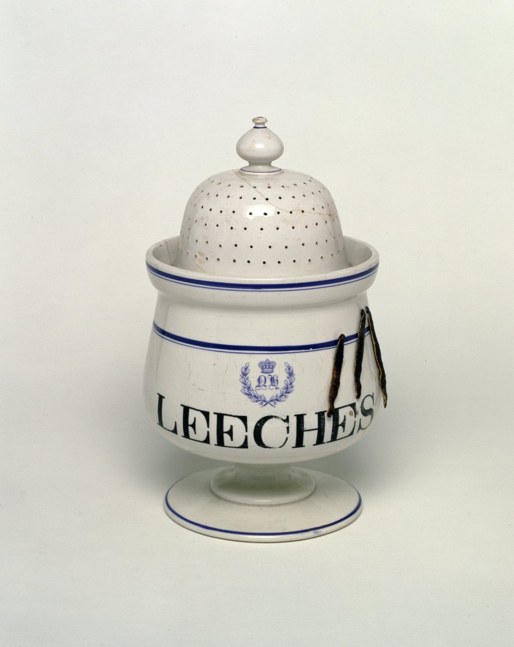 Vaso per sanguisughe da English School