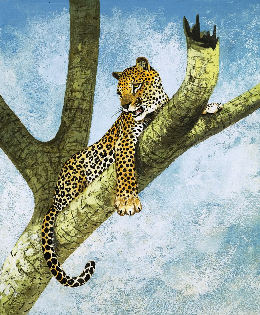 Leopardo su un albero (gouache su carta) da English School