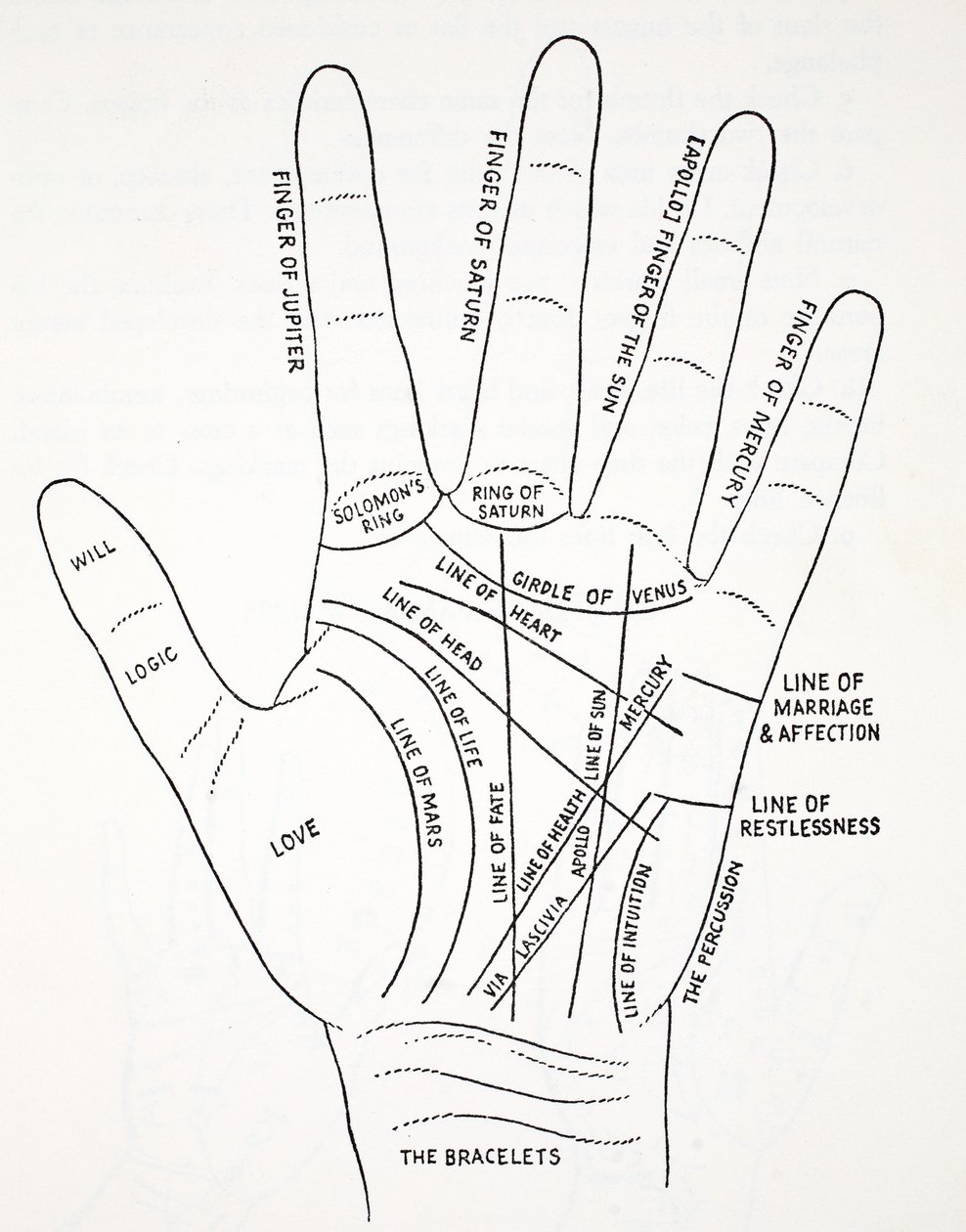 Linee della mano da English School