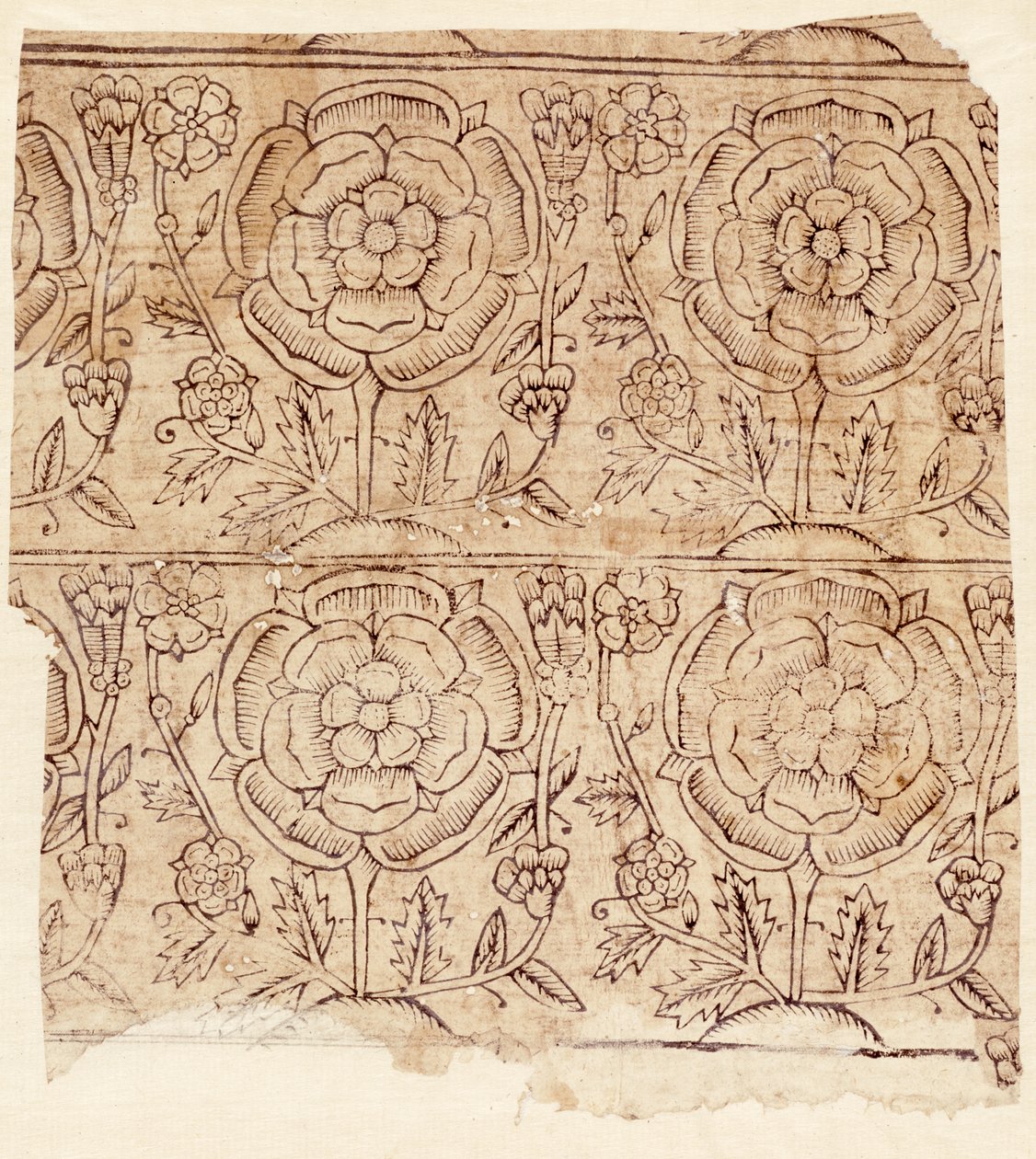 Carta da rivestimento con motivo di Rosa Tudor, c.1550 da English School