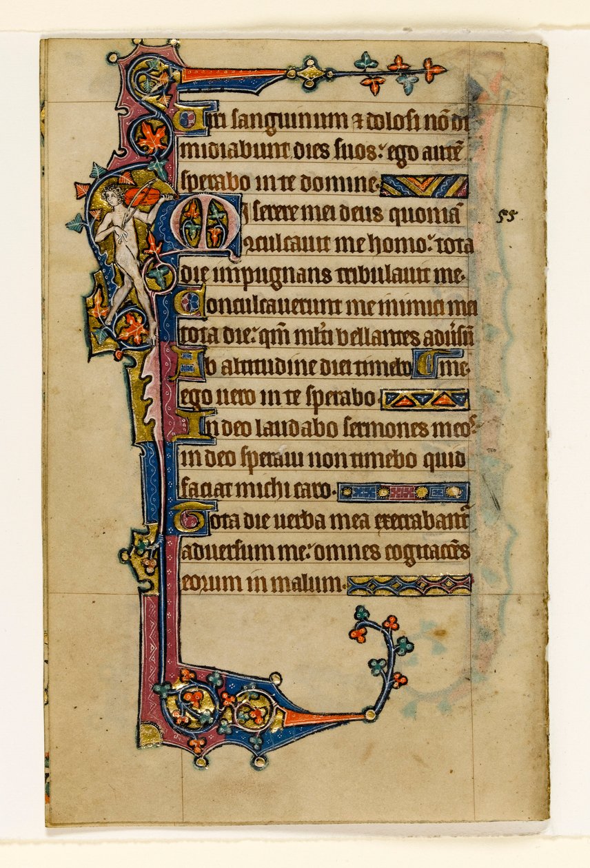 MS 1-2005, fol. 80v: Un musicista nudo, decorazione marginale dal Salterio di Macclesfield, Uso di Sarum, East Anglia, c.1330 da English School
