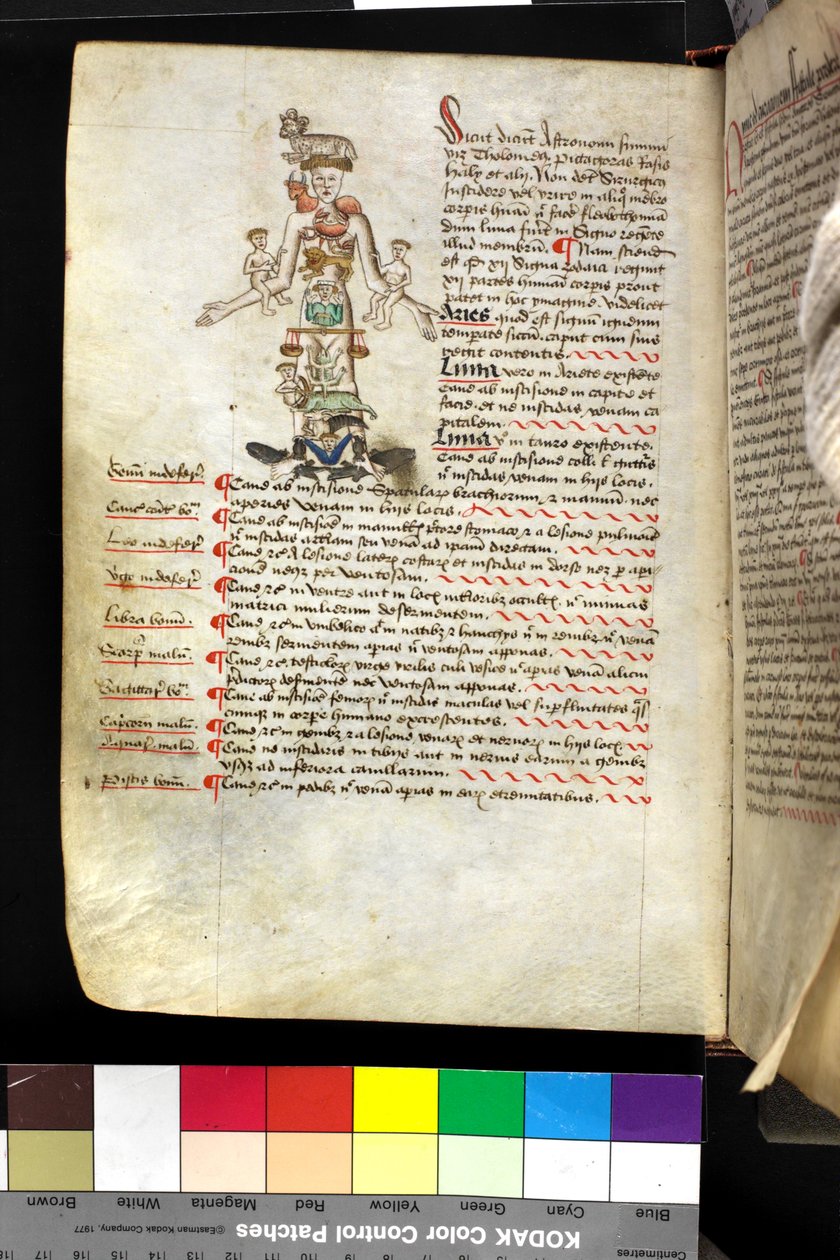 MS Hunter 251 f.47v, illustrazione di un 