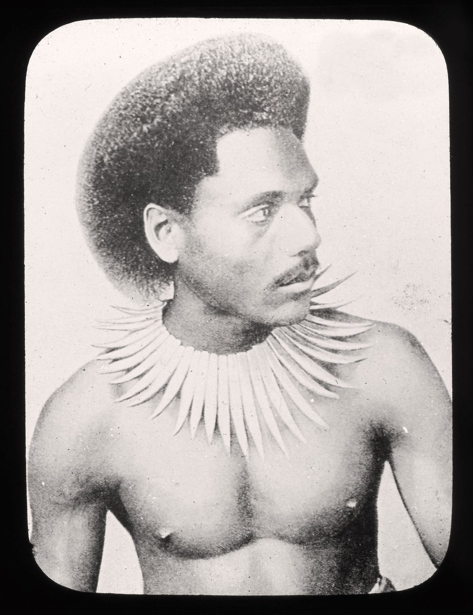 Diapositiva della Lanterna Magica che mostra un Capo Fijiano in costume tradizionale c.1900 da English School