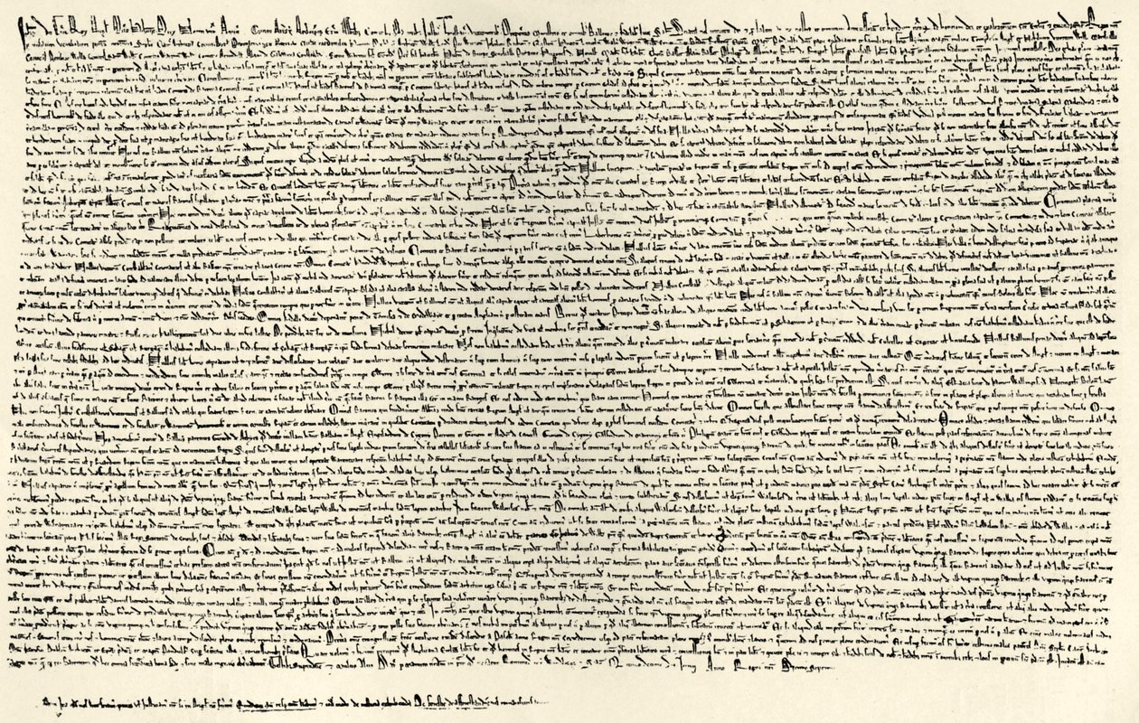 Magna Carta da English School
