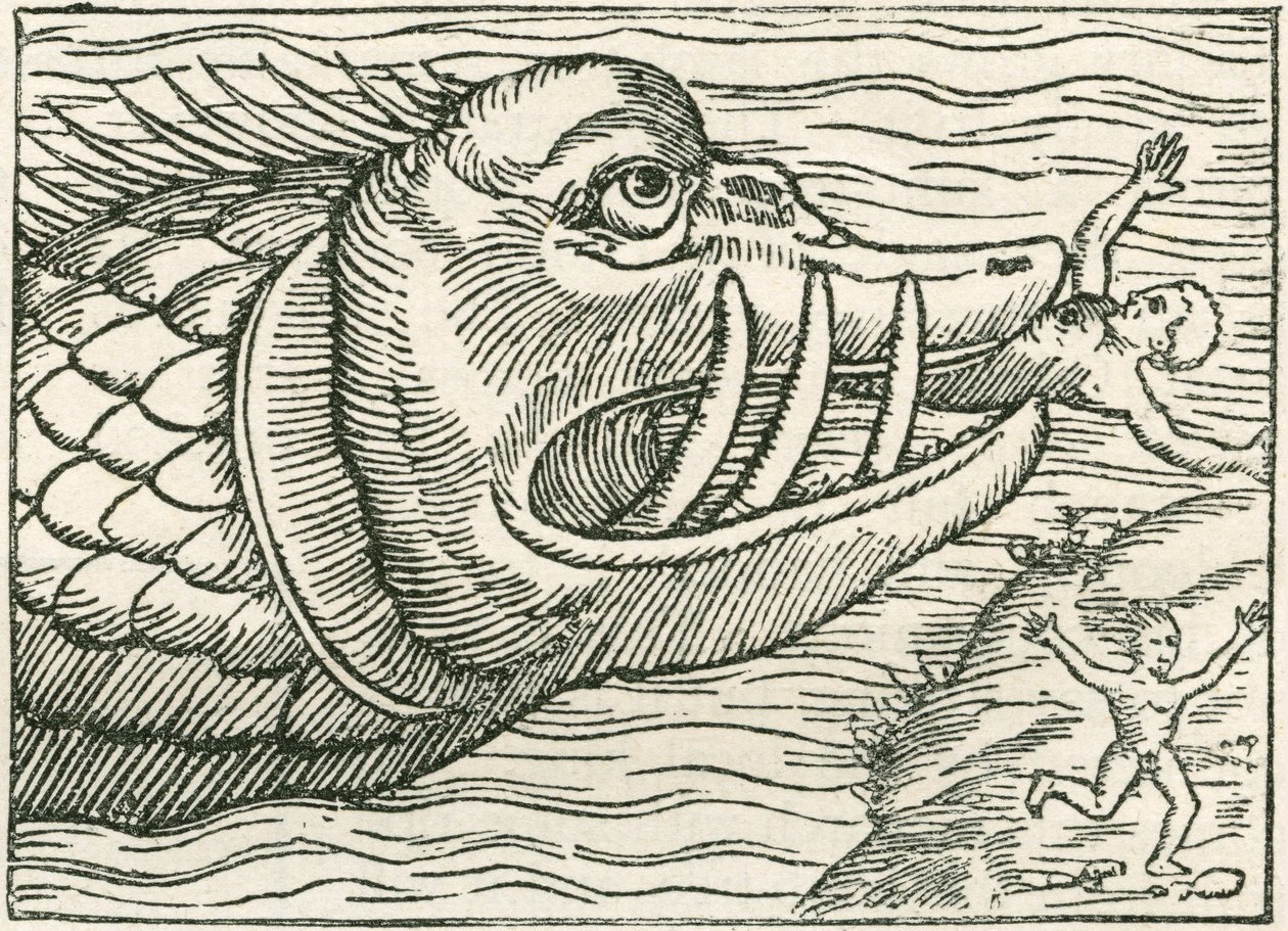 Uomo mangiato da un serpente marino. Illustrazione trovata sul margine di una mappa preparata da Olaus Magnus da English School