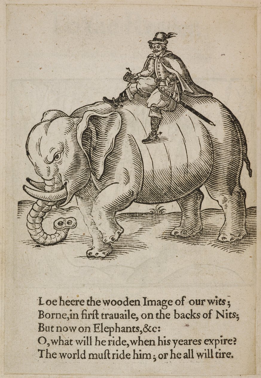 Uomo che cavalca un elefante, illustrazione da 