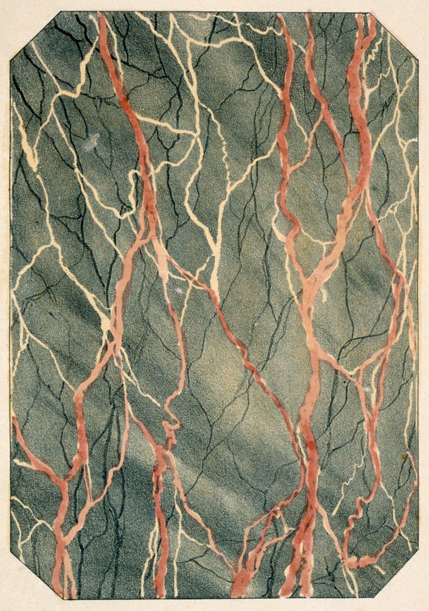Effetti di marmorizzazione: pagina da un libro di modelli vittoriani, pubblicato nel 1880 da English School