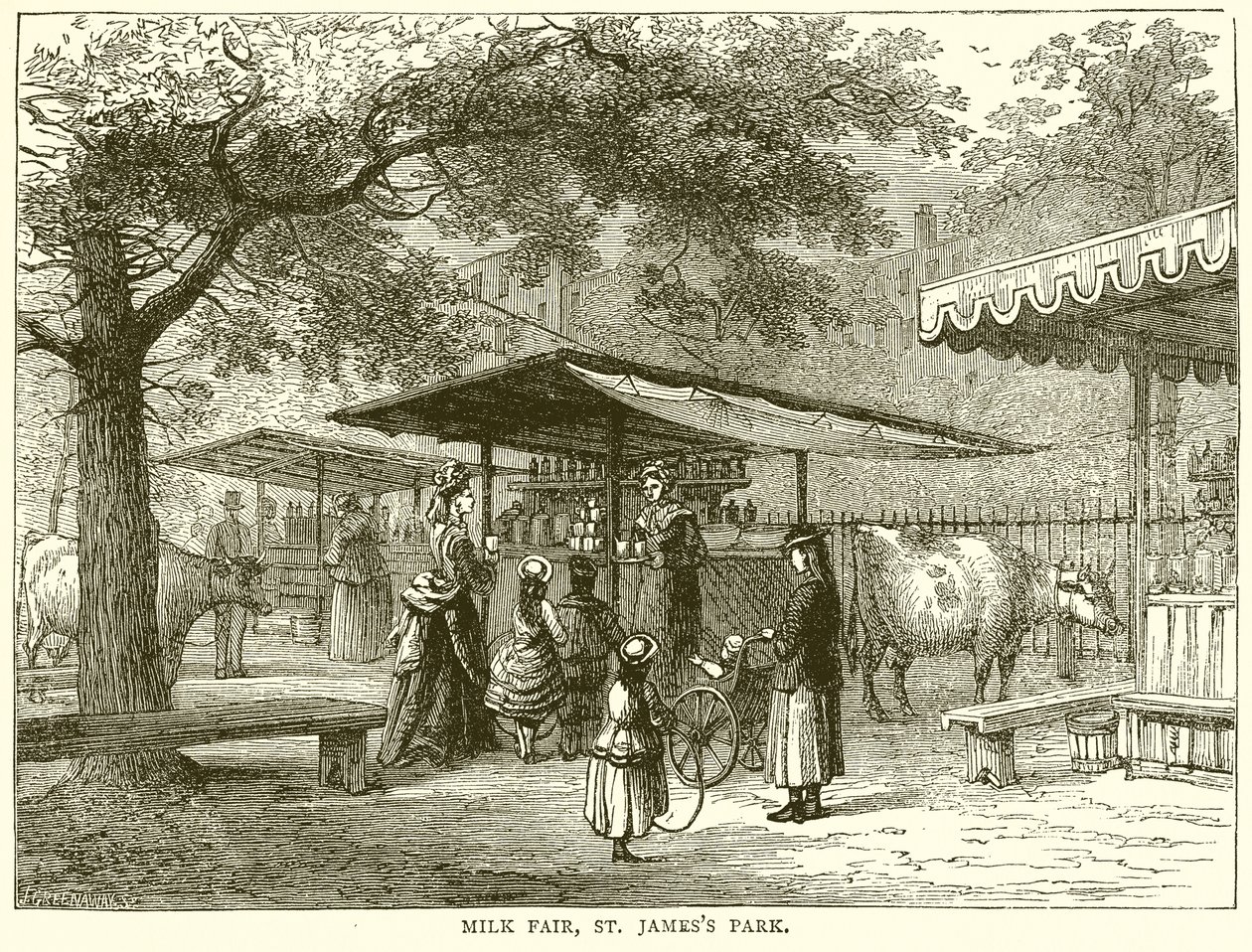 Fiera del latte, St. James
