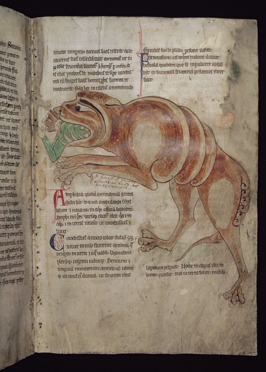 Ms.254 f.24 r Coccodrillo che ingoia un uomo da English School