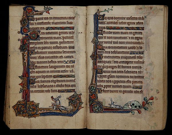 Ms 1-2005, ff.115v-116r: caccia al coniglio cavalcando un cane, decorazione marginale dal Salterio di Macclesfield, Uso di Sarum, East Anglia, c.1330 da English School