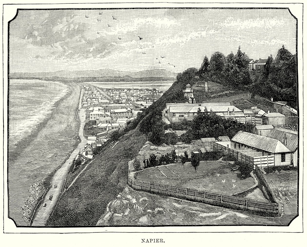 Napier (incisione) da English School