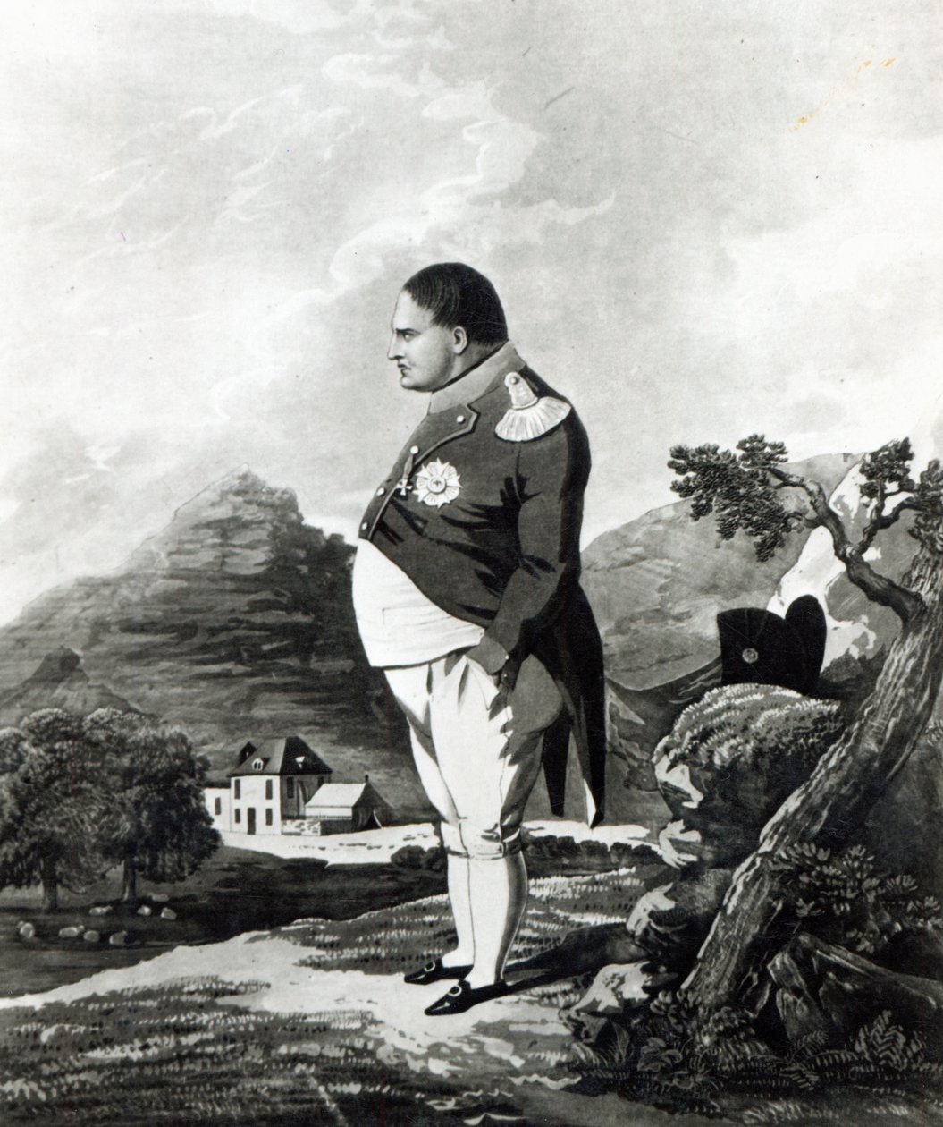 Napoleone sull
