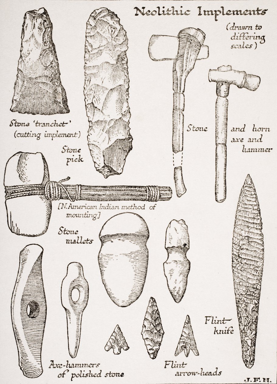 Strumenti neolitici, illustrazione da 